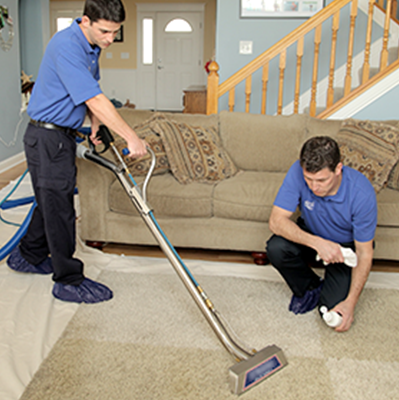 Discover My Journey in Mastering the Carpet Cleaner Job