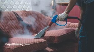 Couch Cleaning