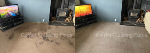 Auckland Carpet Cleaning Before and After