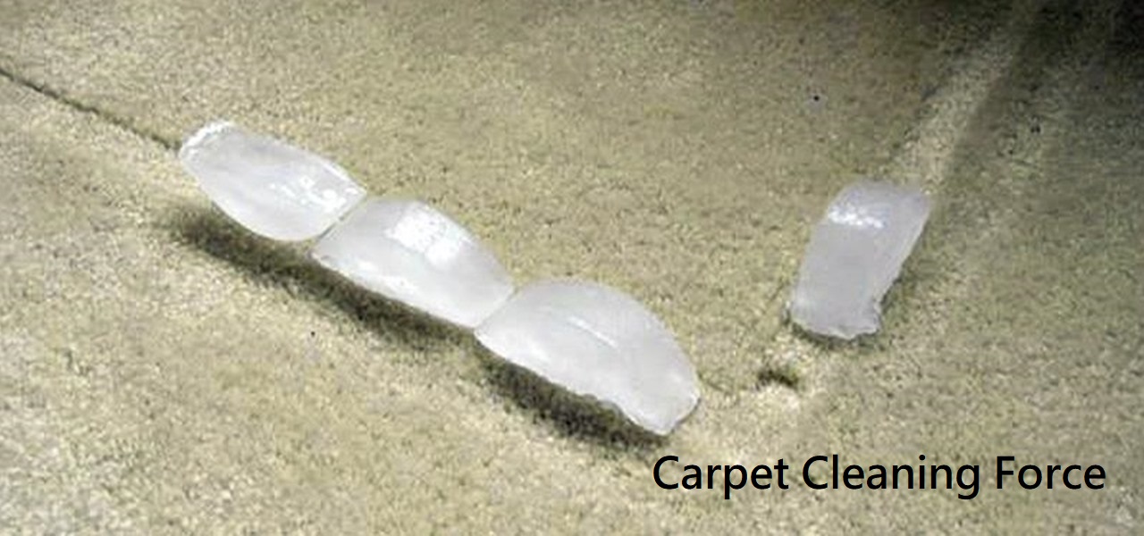 Find out how to use a Rental Carpet Cleaner