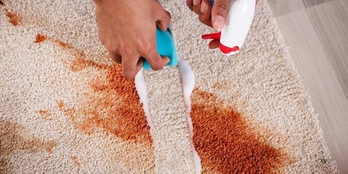 How to Remove Chocolate Stains from a Carpet Carpet Cleaning Force