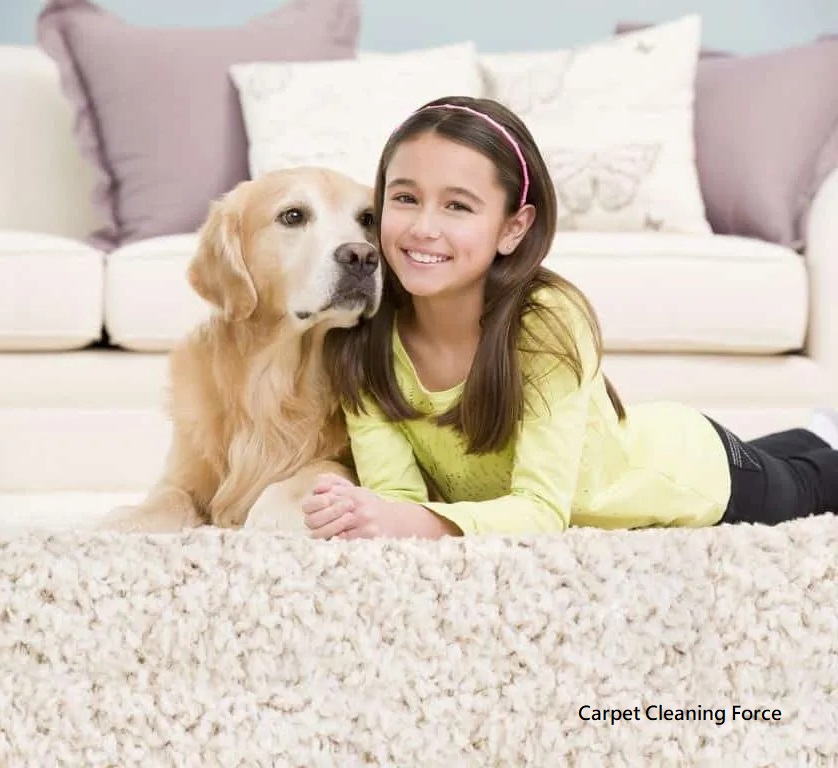 4 Tips to Keep Muddy Paw Prints Off Your Carpet