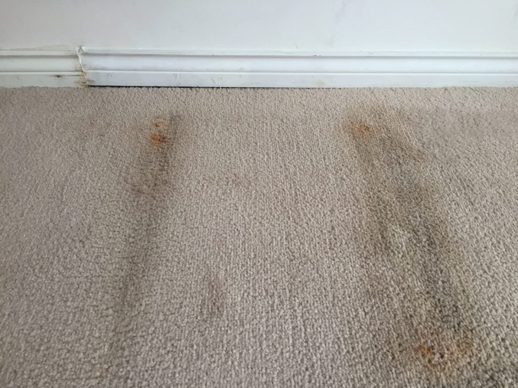 Help! Prevent mold from growing under rubber mats : r/Home