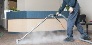 Professional Carpet Cleaning Process