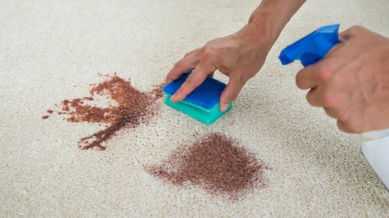 Blood Stains Be Gone! My Journey to a Spotless Carpet