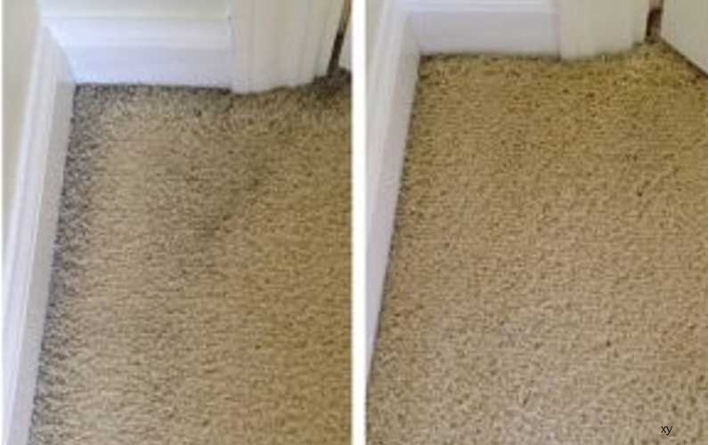 How Do I Get The Edges Of A Carpet Clean