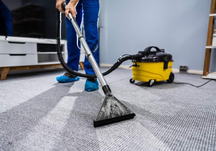 https://www.carpetcleaningforce.co.nz/wp-content/uploads/2022/03/carpet-cleaning.jpg