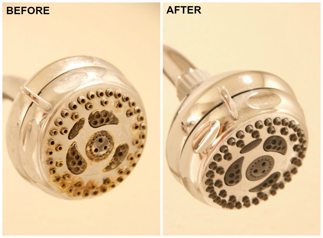 Clean showerhead with shop vinegar
