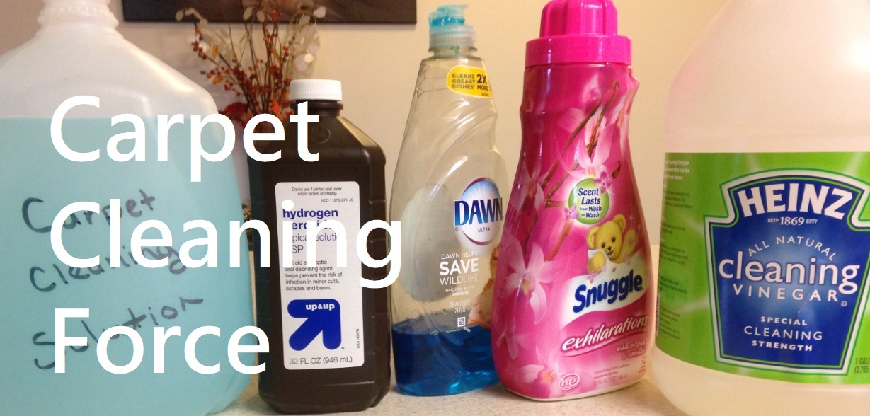 Homemade Carpet Cleaning Solution