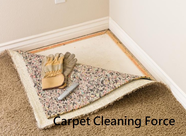 How To Install Carpet