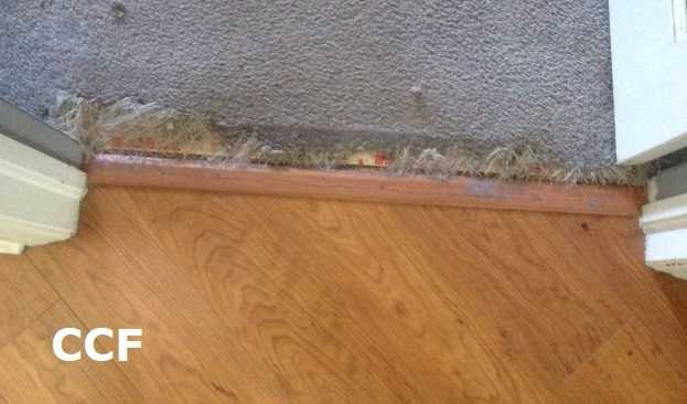 Repair Cat Scratches and Dog Chew Holes on Carpet and Rug Repair Kit