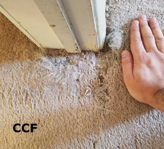 How Do You Fix Carpet Edges? - Bond Products Inc