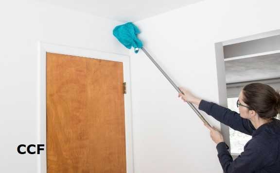 A guide to proper wall cleaning