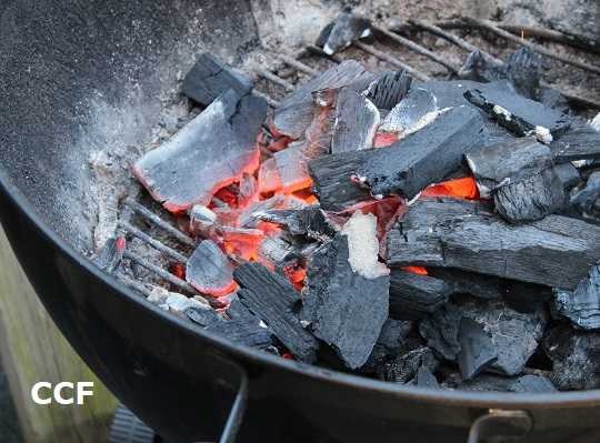 https://www.carpetcleaningforce.co.nz/wp-content/uploads/2022/10/How-to-Clean-a-Charcoal-Grill.jpg
