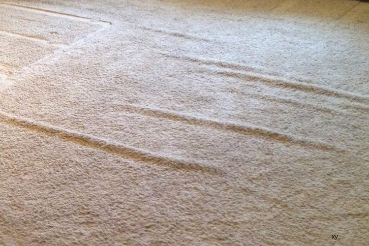 Carpet cleaning and stretching