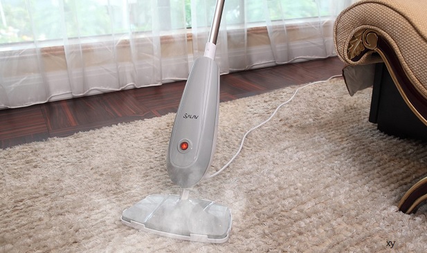 https://www.carpetcleaningforce.co.nz/wp-content/uploads/2023/03/Steam-carpet-Cleaner.jpg