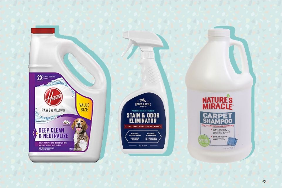 Bissell détergent wash & refresh pet Bissell