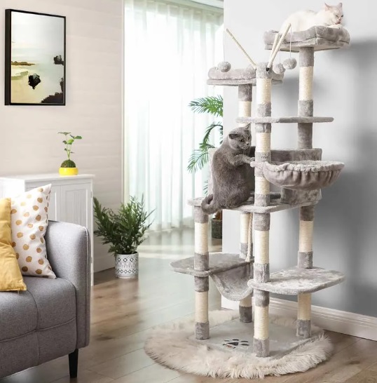 https://www.carpetcleaningforce.co.nz/wp-content/uploads/2023/06/Key-Factors-to-Consider-when-Choosing-a-Carpet-for-Cat-Tree.jpg