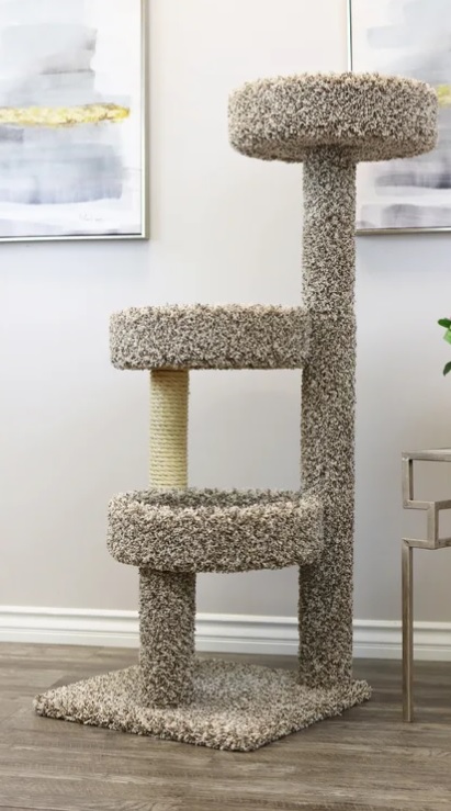 https://www.carpetcleaningforce.co.nz/wp-content/uploads/2023/06/what-carpet-to-use-for-cat-tree.jpg