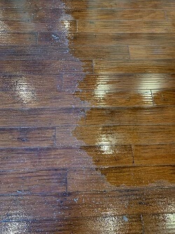The Best Way to Clean Hardwood Floors - Expert Advice From Bob Vila