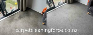 A dirty carpet and a dirty rug before cleaning and a clean carpet and a clean rug after cleaning by a steam cleaner