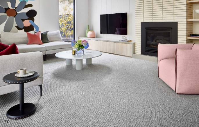 https://www.carpetcleaningforce.co.nz/wp-content/uploads/2023/08/carpet-without-co2.jpg