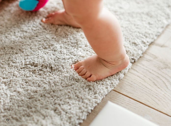 Exploring My Experience with Carpet without Underlay Carpet Cleaning