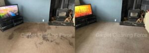 Carpet CLeaner west auckland Before and After