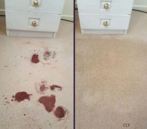 carpet stain removal north shore before and after