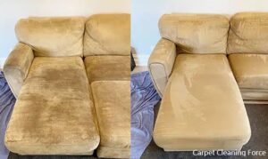 couch cleaning upholstery cleaning north shore before and after