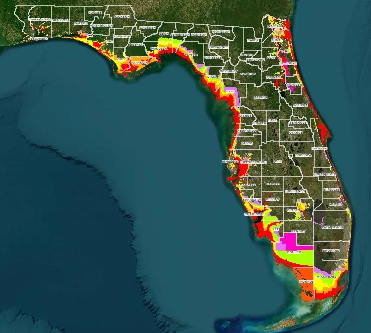 My Journey to Discovering Flood Zone A in Florida Carpet Cleaning Force
