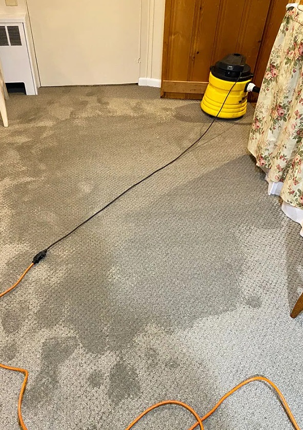 My Experience Can Carpet Tiles Get Wet? Carpet Cleaning Force