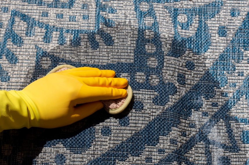 Unveiling the Truth Can Wool Carpet Endure Moisture? Carpet Cleaning