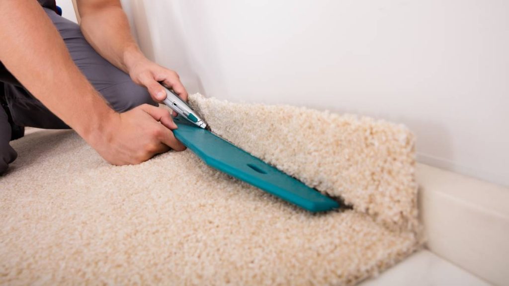 My Journey to Fitting Carpet Without Grippers Carpet Cleaning Force