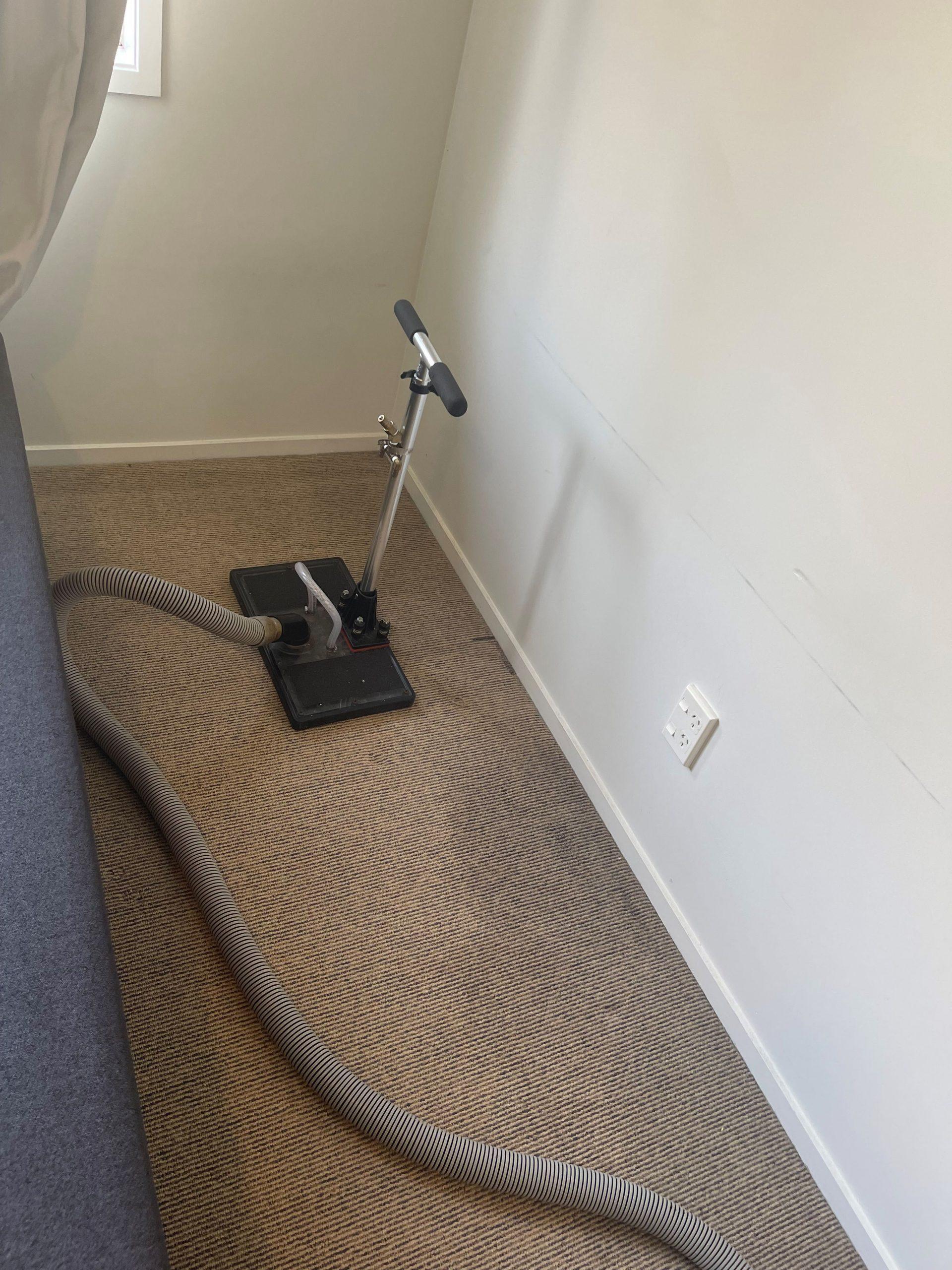 Water Claw extraction during a washing machine leak restoration