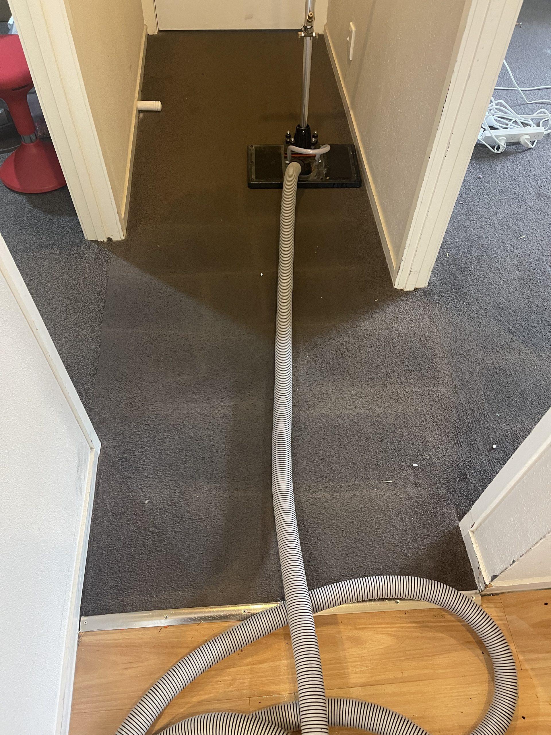 Water Claw extracting water from wet carpet after a ceiling pipe leak