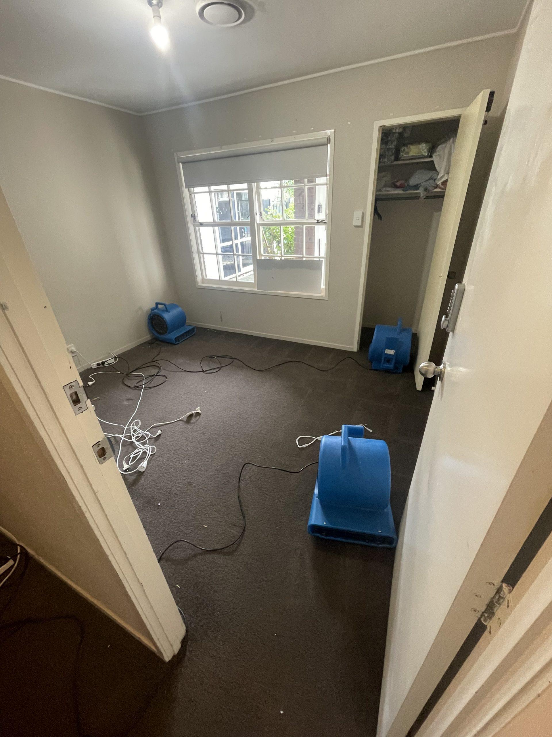 Commercial air movers drying carpet after a ceiling leak