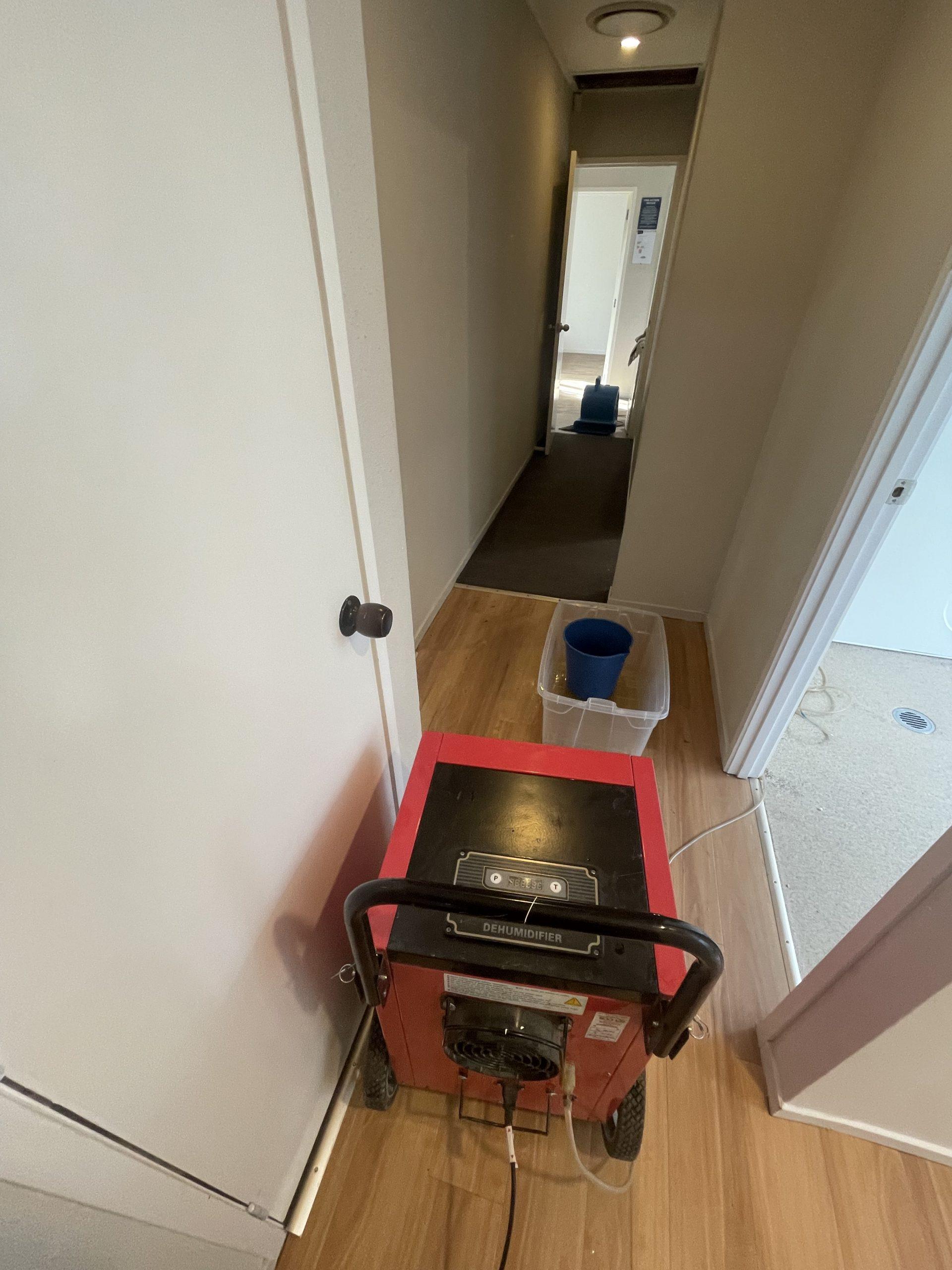 Commercial dehumidifier installed during ceiling pipe leak flood restoration in Auckland