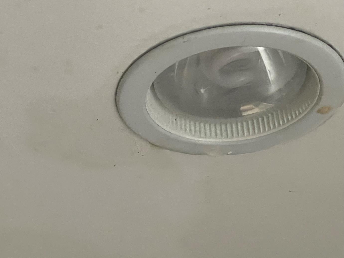 Ceiling light fitting where water emerged after a burst ceiling pipe
