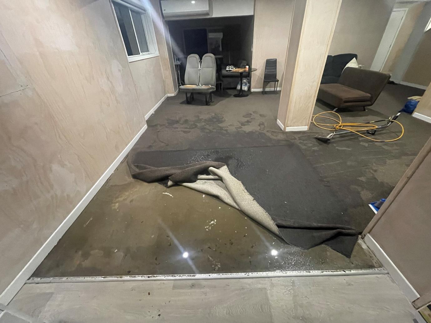 Contaminated carpet lifted for removal after Category 3 water damage